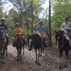 2017 Horseback Riding